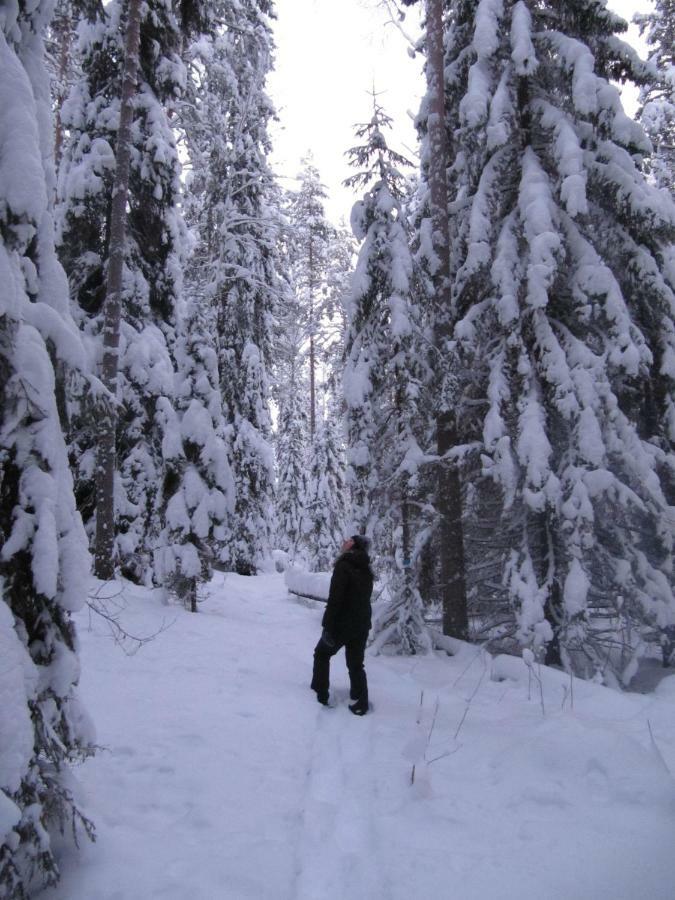 Menninkaeinen Cottage Rutalahti Екстер'єр фото